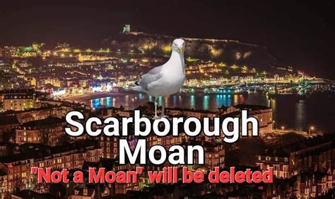 scarborough moan|daily record.